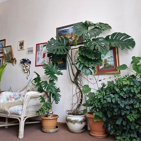 Tamari Guest House Telavi Ngoại thất bức ảnh