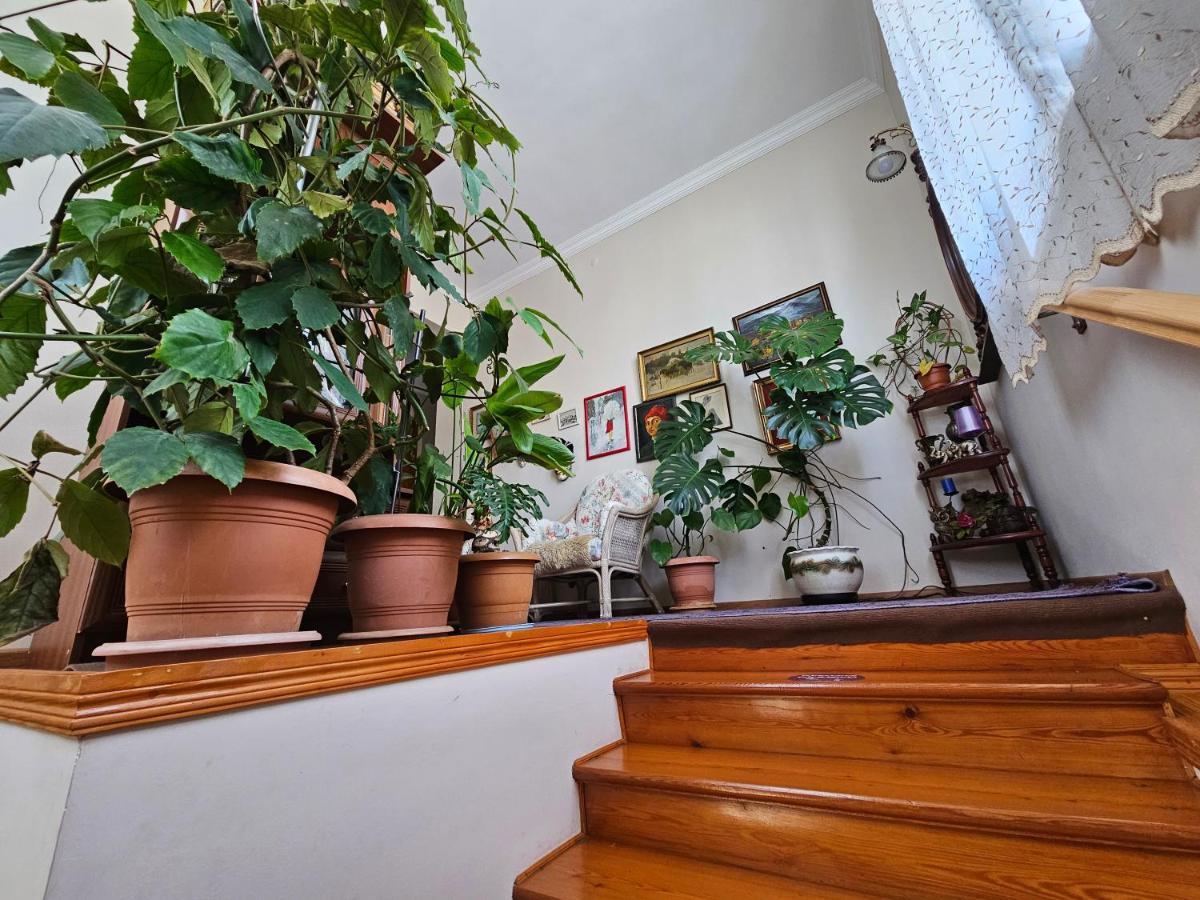 Tamari Guest House Telavi Ngoại thất bức ảnh