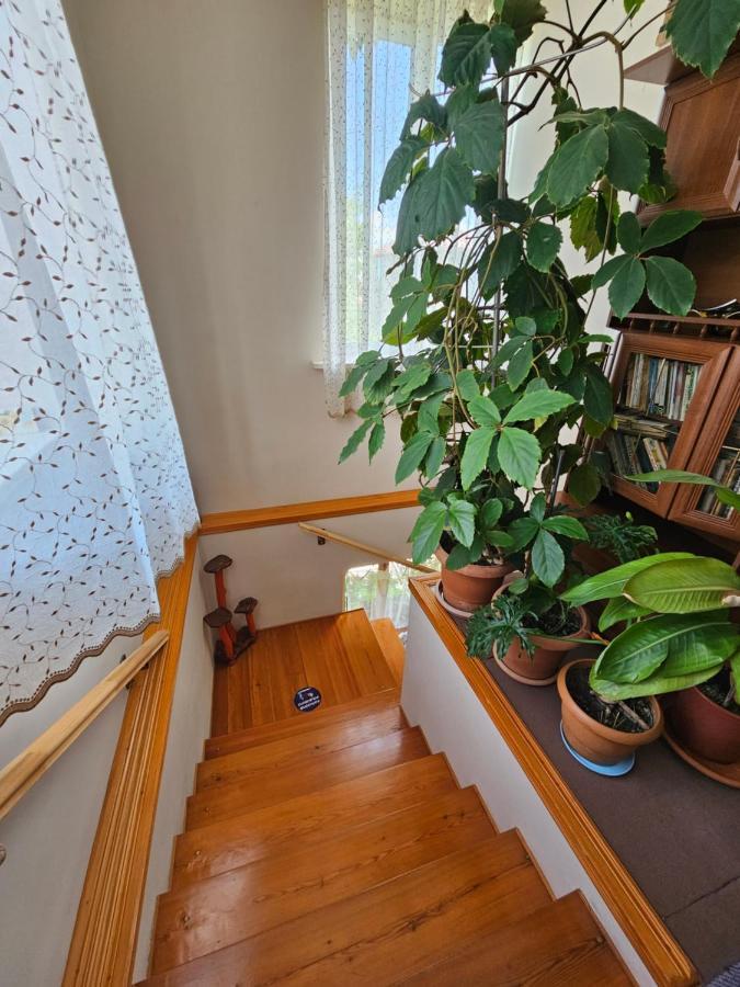 Tamari Guest House Telavi Ngoại thất bức ảnh